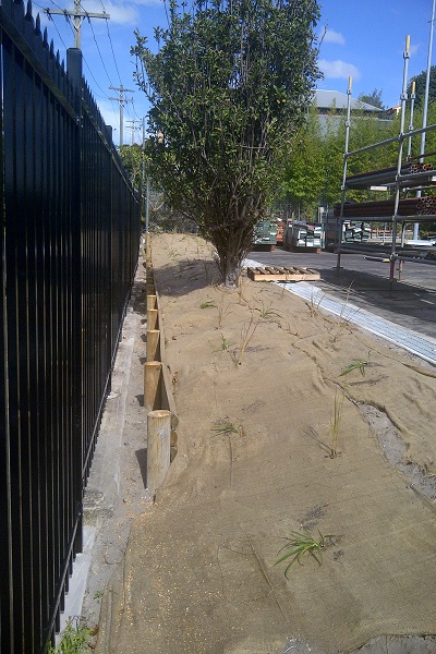 Construction of a timber retaining wall is underway at Annandale TAFE