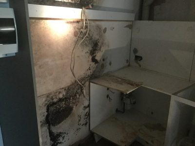 Mould on kitchen wall